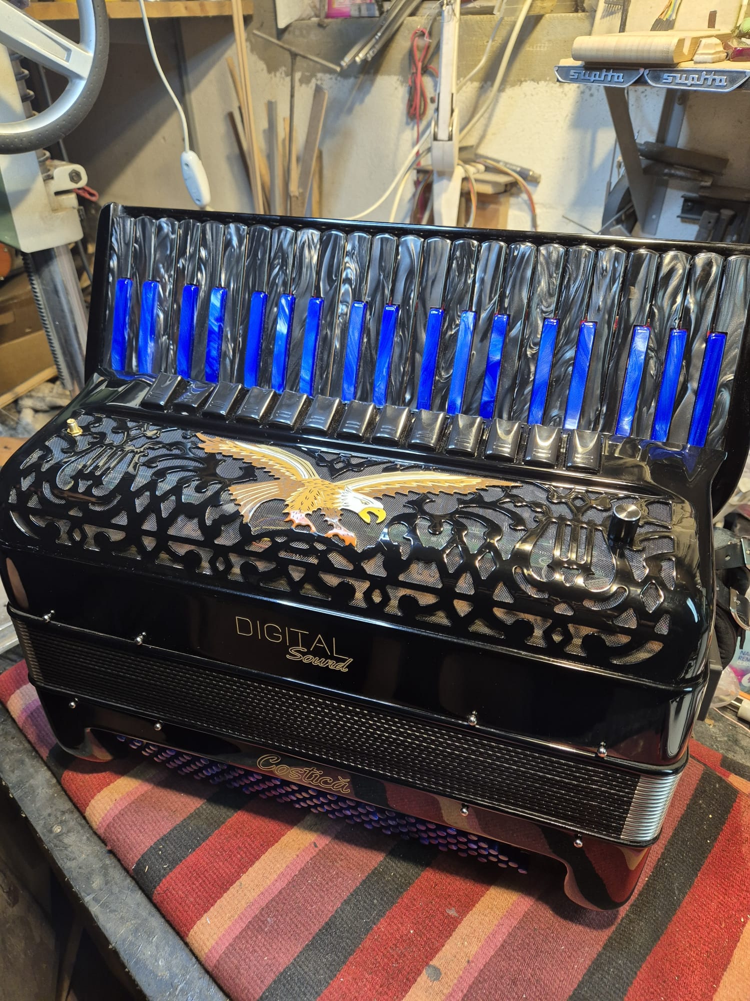 Mounted on accordion
